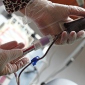 Prośba o oddanie krwi przed ŚDM