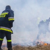 Śląskie. Od początku roku strażacy wyjeżdżali już do blisko 2400 pożarów traw