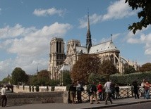 Do odbudowy Notre Dame będą użyte ponadstuletnie dęby; ekolodzy protestują