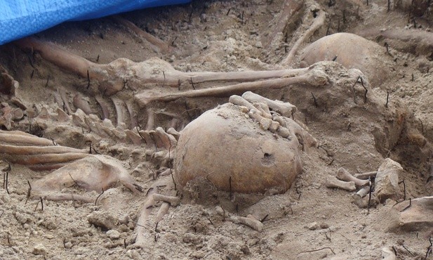 Ruszyły badania szczątków ofiar zbrodni wołyńskiej