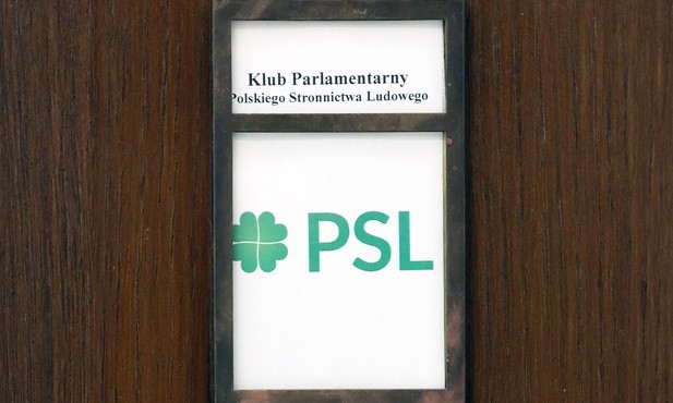 PSL może poprzeć PiS