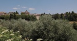 MONTE24062025_HP38.jpg