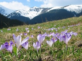 Tatry otwarte dla turystów od 4 maja, ale będą limity osób na szlakach