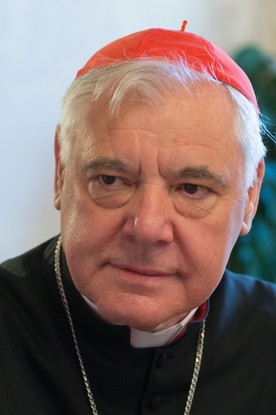 Krytyka wypowiedzi kardynała Müllera 