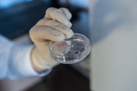 Projekt o in vitro wycofany