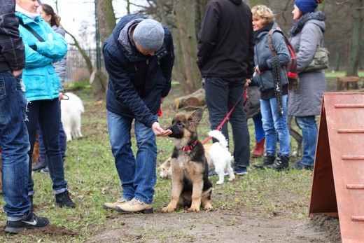 Park dla psów w Elblągu