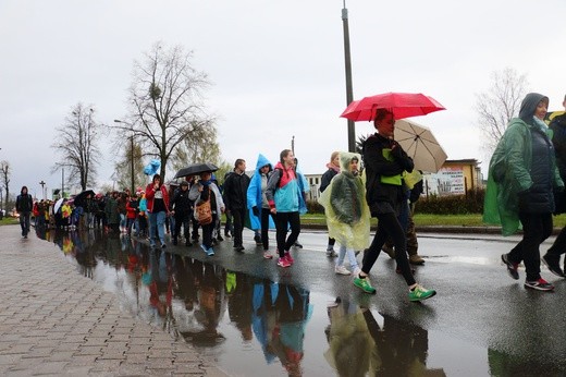 Pielgrzymka do Świętego Gaju