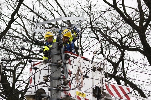 Nowe bocianie gniazdo w Tarnowskich Górach