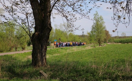 Święty Gaj - uroczystości odpustowe