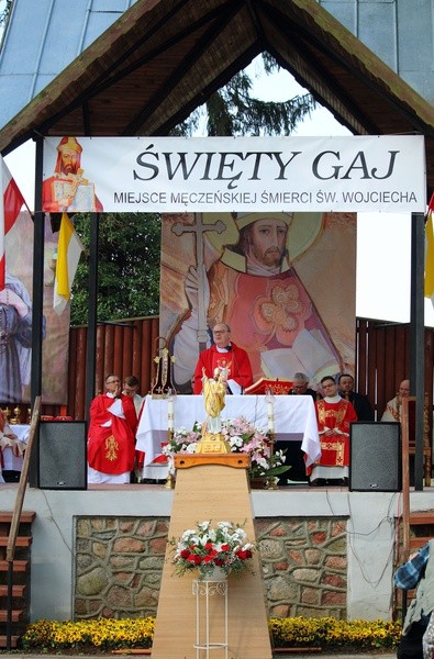 Święty Gaj - uroczystości odpustowe