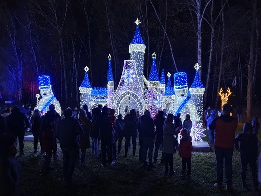 Park Miliona Świateł w Zabrzu