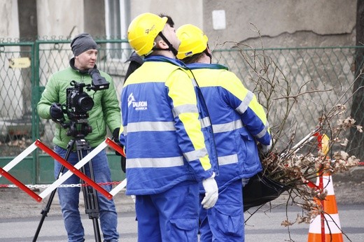 Nowe bocianie gniazdo w Tarnowskich Górach