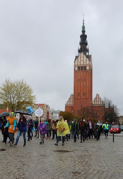 Pielgrzymka do Świętego Gaju