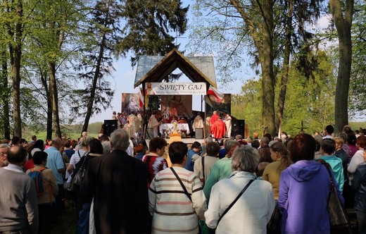 Święty Gaj - uroczystości odpustowe