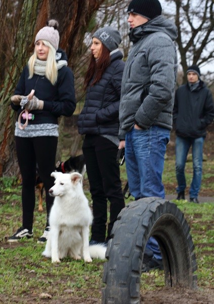 Park dla psów w Elblągu