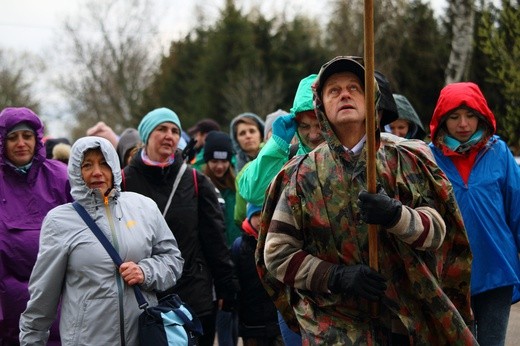 Pielgrzymka do Świętego Gaju