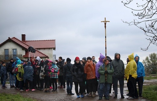 Pielgrzymka do Świętego Gaju