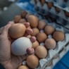 Jaja na unijnym rynku droższe od kurczaków