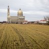 Licheńskie sanktuarium