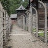 Niemiecki nazistowski obóz koncentracyjny Auschwitz - Birkenau. Obecnie Państwowe Muzeum Auschwitz – Birkenau 