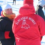 Morsy nad Jeziorem Korsuń