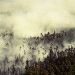 30 lat temu doszło do pożaru w Rudach Raciborskich