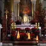 Maków Mazowiecki. Bożonarodzeniowa szopka w kościele pw. Bożego Ciała