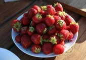Nie do wiary, jak może smakować truskawka. Spróbujcie!