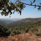 Papież w Libanie i Turcji