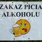 Co zamiast alkoholu? Substytut ginu