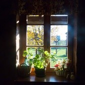 Letnia kuchnia, pora na plenery
