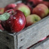 Z sadu. W tym roku w niektórych jałbek nie będzie wcale