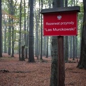 Las Murckowski