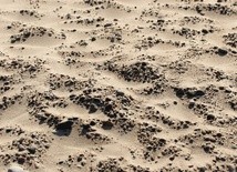 W Al-Faszir w Sudanie mogło zginąć nawet 60 tys. osób