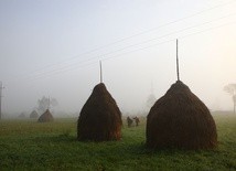 Kto kupuje najwięcej polskiej ziemi?