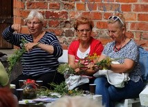 Podagrycznik czas zebrać. Posłuży w chorobie