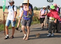 Kolejny dzień marszu w upale