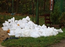 Cofka na rzece Elbląg