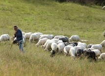 Trudno się zgubić?