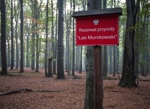 Las Murckowski