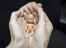 Europejska organizacja apeluje o przegłosowanie inicjatywy "Zatrzymaj Aborcję"