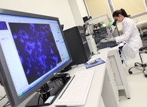 Krakowscy uczeni bliscy opracowania testu diagnostycznego na koronawirusa