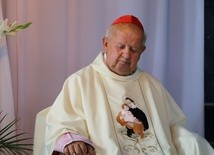 klsrd. Stanisław Dziwisz