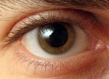 Poznawanie oka oraz procesów widzenia
