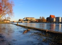 Cofka znów pokazała groźne oblicze