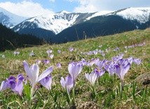 Tatrzańskie szlaki nadal zamknięte