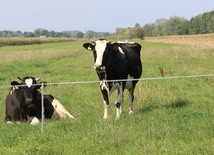 Baranów koło Grodziska Mazowieckiego