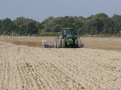 Badanie CBOS: rolnictwo coraz mniej opłacalne