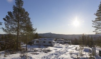 Za ptakami pójdzie wszędzie, nawet na  Spitsbergen