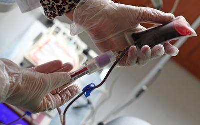 Prośba o oddanie krwi przed ŚDM